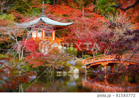 Beautiful view of Daigo-ji temple with red maple trees in autumn season in Kyoto, Japan 81583772