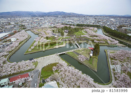 函館、五稜郭公園の桜～2021年春～ 81583996