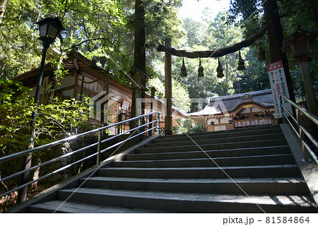 狭井神社　縄鳥居　奈良県桜井市　大神神社摂社 81584864