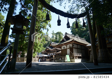 大神神社 南の縄鳥居から拝殿を望む 奈良県桜井市 大神神社 南の縄鳥居から拝殿を望む 奈良県桜井市 81585434