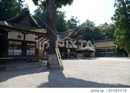 大神神社　境内　奈良県桜井市 81585470