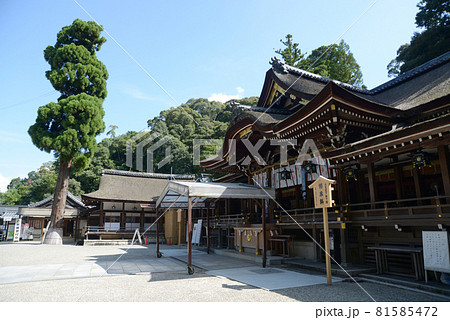 大神神社 拝殿 奈良県桜井市 大神神社 拝殿 奈良県桜井市 81585472