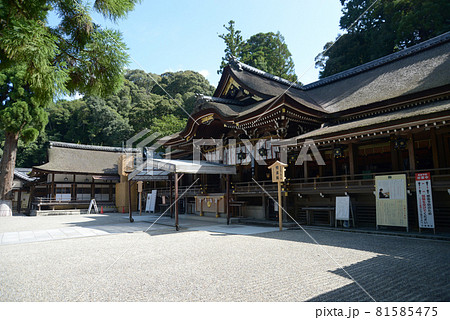 大神神社 拝殿 奈良県桜井市 大神神社 拝殿 奈良県桜井市 81585475