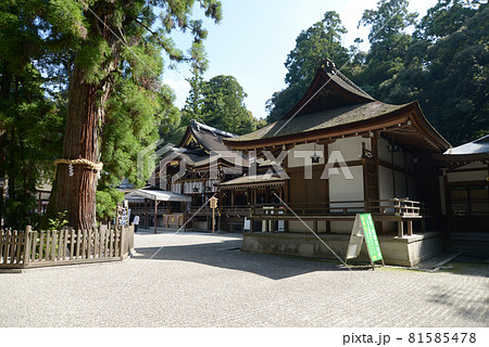 大神神社　勅使館と拝殿　奈良県桜井市 81585478