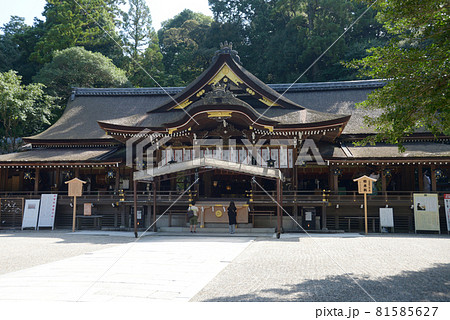 大神神社　拝殿　奈良県桜井市 81585627