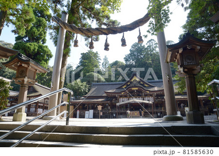 大神神社　縄鳥居から拝殿を望む　奈良県桜井市 81585630