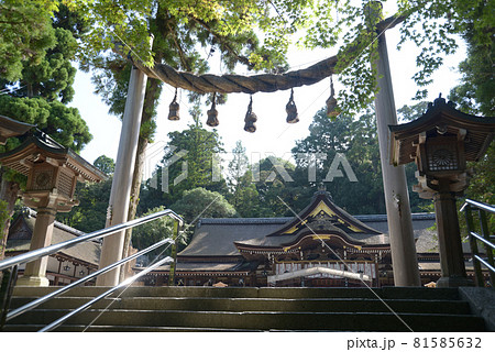 大神神社　縄鳥居から拝殿を望む　奈良県桜井市 81585632