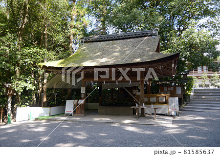 大神神社 手水舎 奈良県桜井市 大神神社 手水舎 奈良県桜井市 81585637