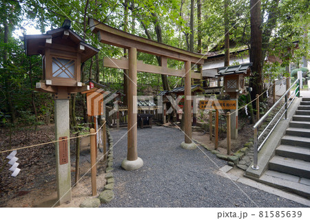 大神神社　夫婦岩　奈良県桜井市 81585639