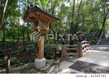 大神神社　参道の灯篭　奈良県桜井市 81585793