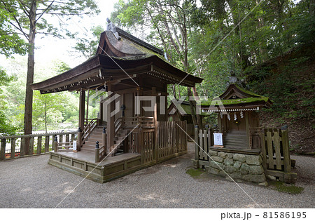 石上神社　末社出雲建雄神社　奈良県天理市 81586195