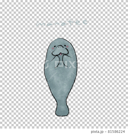 海牛手繪插畫素材 海牛手繪插畫素材 81586224