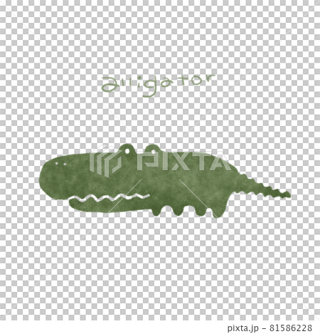 Crocodile hand drawn illustration material 81586228