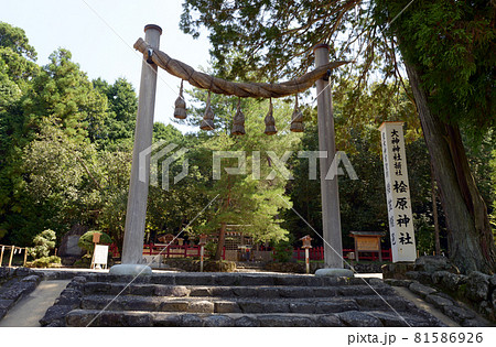 桧原神社　縄鳥居　奈良県桜井市 81586926