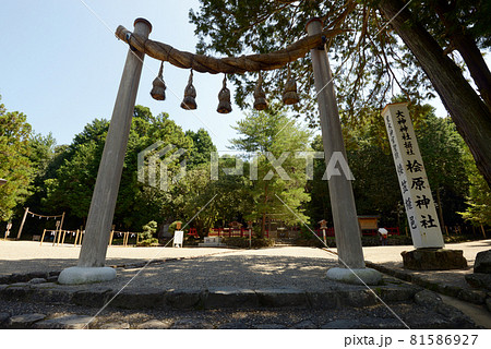 桧原神社　縄鳥居　奈良県桜井市 81586927