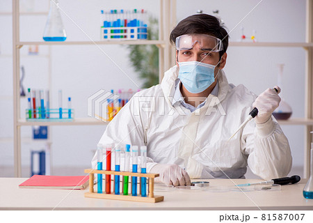 Young male chemist working at the lab during pandemic 81587007
