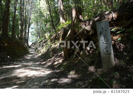 山辺の道　奈良県桜井市 81587025