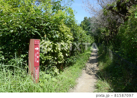 山辺の道 道しるべ 奈良県桜井市 山辺の道 道しるべ 奈良県桜井市 81587097