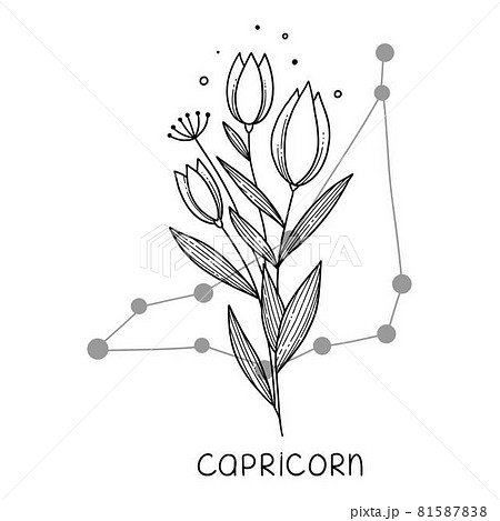 Capricorn horoscope flower icon outline vector. Zodiac sign astrology 81587838