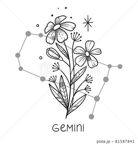 Gemini horoscope flower icon outline vector. Zodiac sign astrology Gemini horoscope flower icon outline vector. Zodiac sign astrology 81587841