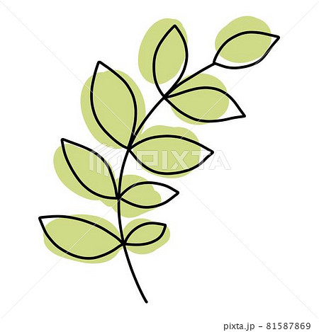 Doodle leaf icon outline hand drawn vector. Nature fall autumn 81587869