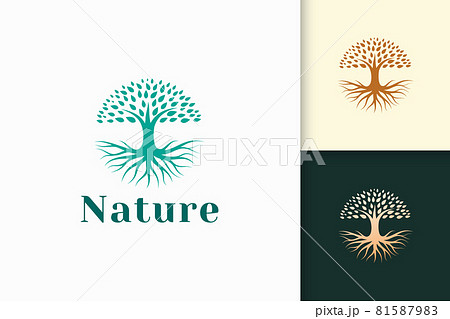 Circle tree logo with root in green color and modern shape Circle tree logo with root in green color and modern shape 81587983