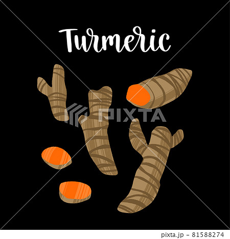 Fresh turmeric, whole and sliced root. Healthy nutrition product. 81588274