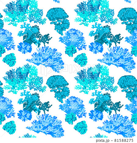 Seamless sea pattern with different corals. Colorful hand drawn tropical undersea life with dry brush texture. 81588275