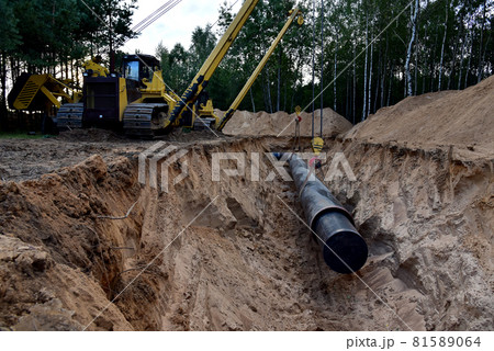 Natural Gas Pipeline Construction.  81589064
