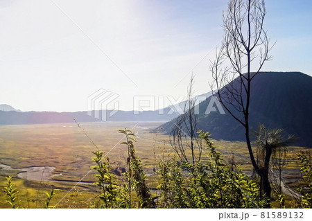 インドネシア ブロモ山 テンガーカルデラ Tengger Caldera, Indonesia インドネシア ブロモ山 テンガーカルデラ Tengger Caldera, Indonesia 81589132