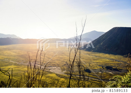 インドネシア ブロモ山 テンガーカルデラ Tengger Caldera, Indonesia 81589133