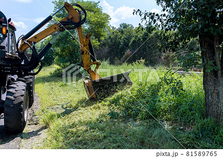 Road services are engaged in tractor with a mechanical mower mowing grass on the side of the asphalt road 81589765