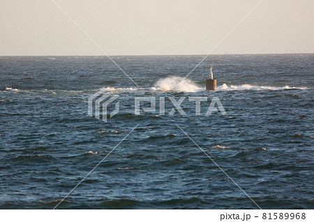 保田海岸を歩いた 保田海岸を歩いた 81589968