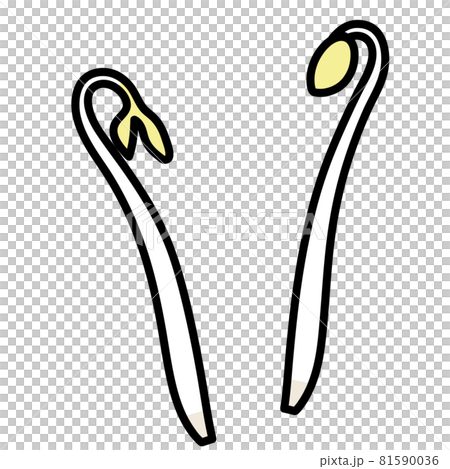 もやし カットイラスト素材のイラスト素材