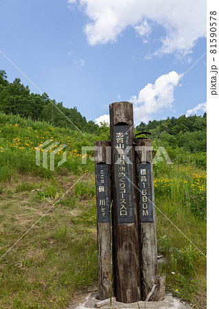 志賀高原　池めぐりコースの道標 81590578