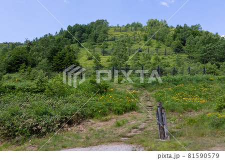 志賀高原　前山の池めぐりコース起点 81590579