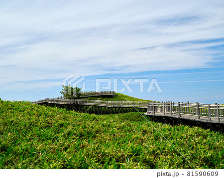 知床国立公園 知床国立公園 81590609