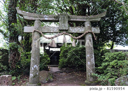 琴ノ尾公園展望台　琴ノ尾神社 81590954