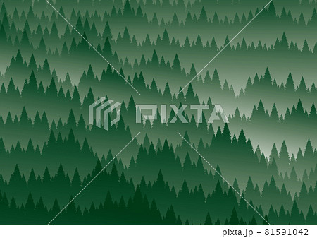 靄のかかった深い緑の森の景観 81591042