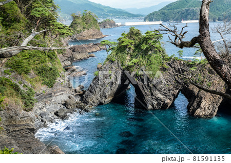 透明度の高い海の岩手大船渡リアス式海岸穴通磯 81591135