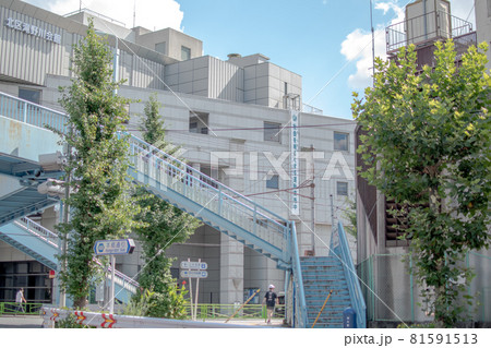 滝野川会館前/東京都北区西ヶ原 滝野川会館前/東京都北区西ヶ原 81591513