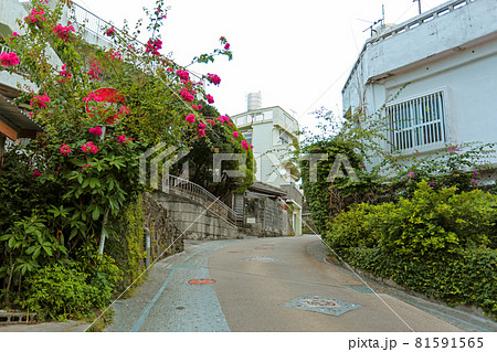 沖縄 那覇市壺屋周辺の風景 沖縄 那覇市壺屋周辺の風景 81591565