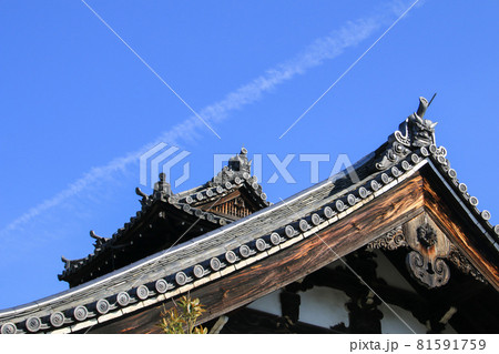 妙法院 81591759
