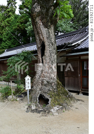 葛城一言主神社より 葛城一言主神社より 81592711