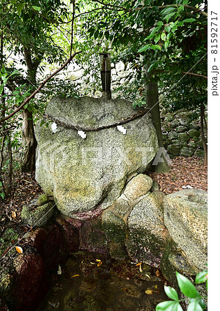 葛城一言主神社より 葛城一言主神社より 81592717