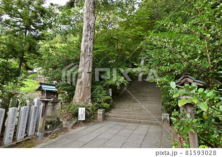 葛城一言主神社より 81593028