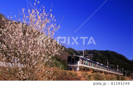 JR西日本225系　丹波路快速 81593249
