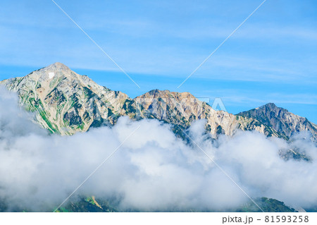 夏の唐松岳登山：八方尾根から望む白馬三山 81593258