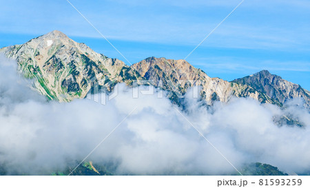 夏の唐松岳登山:八方尾根から望む白馬三山 夏の唐松岳登山:八方尾根から望む白馬三山 81593259