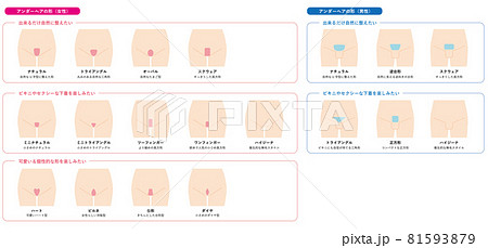 アンダーヘアの形一覧 81593879